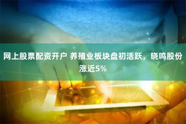 网上股票配资开户 养殖业板块盘初活跃，晓鸣股份涨近5%