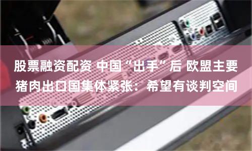 股票融资配资 中国“出手”后 欧盟主要猪肉出口国集体紧张：希望有谈判空间