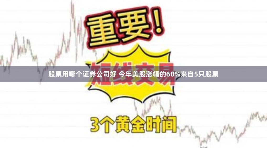 股票用哪个证券公司好 今年美股涨幅的60%来自5只股票