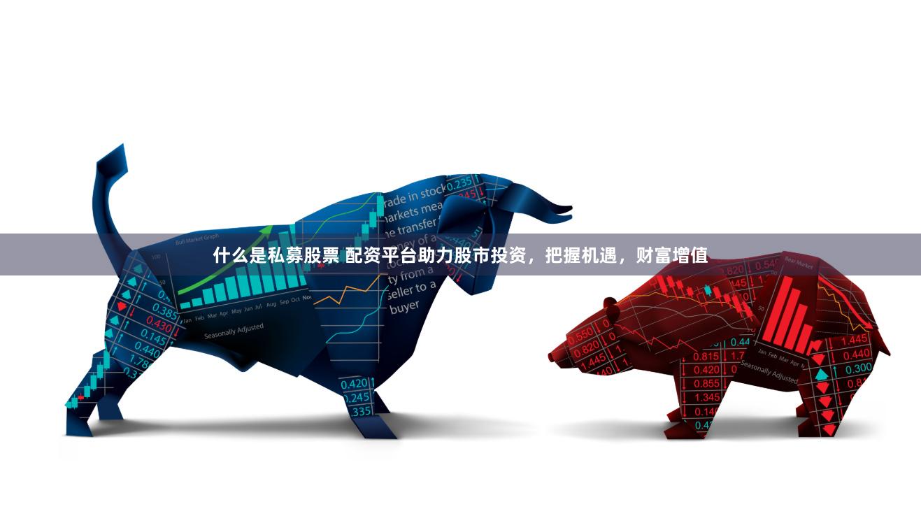 什么是私募股票 配资平台助力股市投资，把握机遇，财富增值