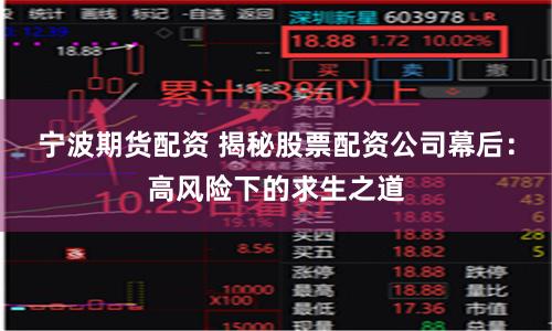宁波期货配资 揭秘股票配资公司幕后：高风险下的求生之道