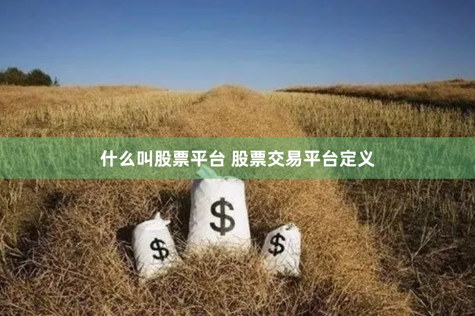什么叫股票平台 股票交易平台定义