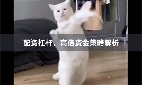 配资杠杆,高倍资金策略解析