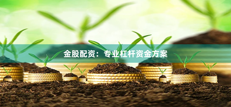 金股配资：专业杠杆资金方案